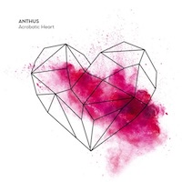 Anthus-Acrobatic-heart
