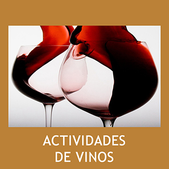 Actividades del vino y la enología del 2019.