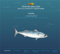 Presentada la “Guía de pescado, para un consumo responsable”.