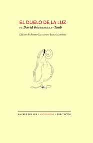 Julio 2014: «El duelo de la luz», de David Rosenmann-Taub.