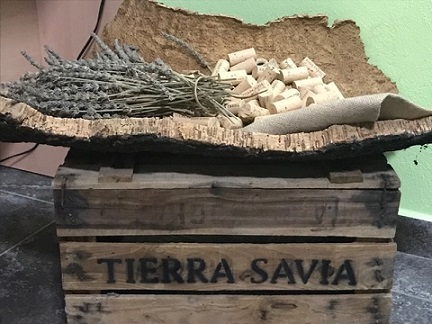 Apoloybaco, visita las Bodegas Tierra Savia, en Alanís (Sevilla).